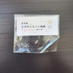 Item thumbnail for item 7a3b83b3-9e1a-4a64-ba05-bfbc4856f695