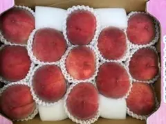 山梨県産 JAふえふき なつっこ 13玉 青秀 - メルカリ