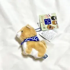 豆しば三兄弟 豆太郎 タグ付き 未使用