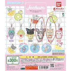 Jochum めじるしアクセサリー　チュララ　まめちぃ