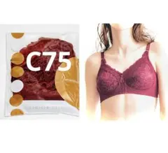ドゥヴァンナ　ブラジャー　C75 ワイン