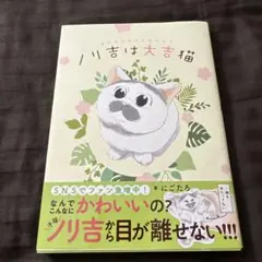 ノリ吉は大吉猫