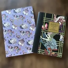 新品おとなのディズニー　ピレアグラウカ B5&B6ノート ティンカーベル マリー