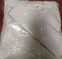 Item thumbnail for item c07ea307-d05f-45c3-8d0e-fe7972b60d8f