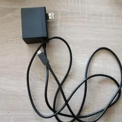 Nintendo USB Type-C ACアダプター　充電器