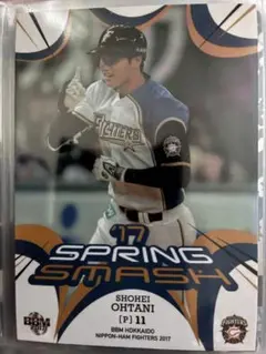 2026年最新】大谷翔平 カード 2013の人気アイテム - メルカリ