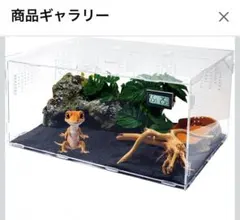 2026年最新】レプタイルボックスの人気アイテム - メルカリ