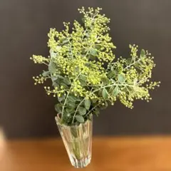 2026年最新】パールアカシアの人気アイテム - メルカリ