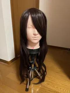 レジーナ ロングウィッグ 約60cm アップ練習用 - メルカリ