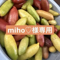 miho♡様専用