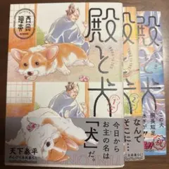 Item thumbnail for item 0b8ac822-af30-47f6-a101-ecf82caab67f