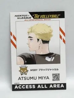 2025年最新】vリーグ カードの人気アイテム - メルカリ