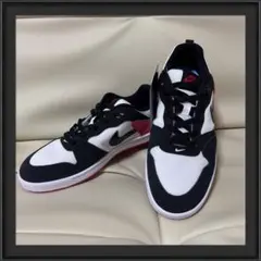 NIKE SB アリウープ スニーカー ナイキ 26.5cm