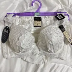 Item thumbnail for item 132c5c57-61c2-4795-936e-1614efe2665d