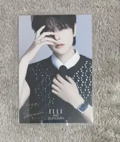 Stray Kids スンミン ELLE ポストカード