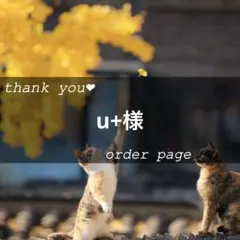 u+様専用ページ