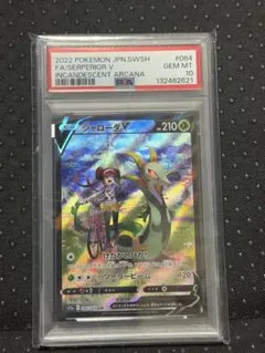 ジャローダv csr psa10 - メルカリ