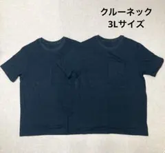 新品　GUNZE BODY WILD 半袖　クルーネック　Tシャツ　セット売り