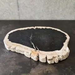 ペトリファイドウッド スラブ プレート ペトリファイドウッド / スライス プレート【3】 | ariife.公式