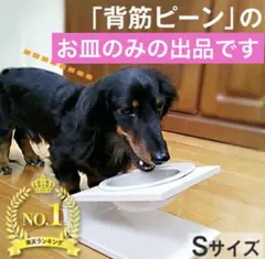 【未使用】 犬用 猫用 エッグフードボウル 無地