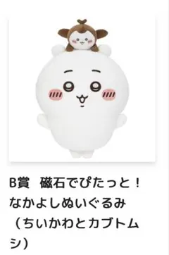 星に包まれたうさぎのBIGクッション - メルカリ