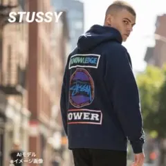 STUSSY LIVIN’ KNOWLEDGE POWER プルオーバーパーカー