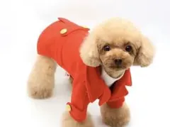 Item thumbnail for item 93ef0260-3288-4eed-be36-70d54cd64f4b