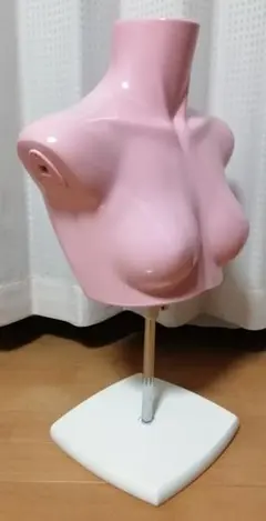 美品カラーマネキン パステルグリーン トルソー マネキン 卓上ボディ 