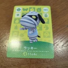 amiibo　ラッキー　パッチ　ちゃちゃまる