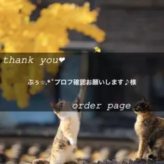 ぷぅ✩.*˚プロフ確認お願いします♪︎様専用ページ