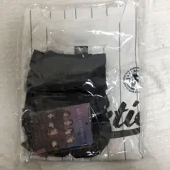【匿名配送】FANTASTICS アプグレグッズ