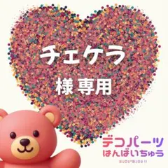 チェケラ 様　専用ページ