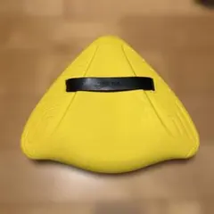 FINIS アライメントキックボード