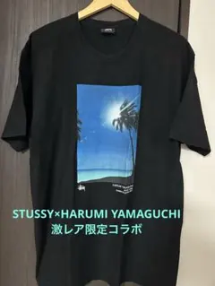 ステューシー STUSSY×HARUMI YAMAGUCHI OLDSTUSSYのサムネイル