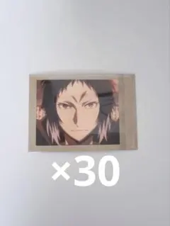 文豪ストレイドッグス　ぱしゃこれ　芥川龍之介　30枚