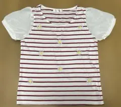 Gleam ボーダー デイジー刺繍 パフスリーブ Tシャツのサムネイル