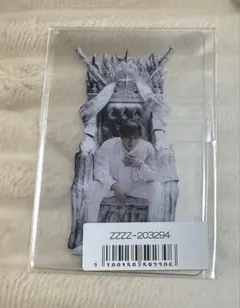 straykids GIANT ソニミュ特典 チャンビン