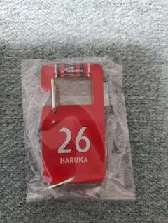 ファジアーノ岡山　本山遥選手　ミニアクリルカラビナ