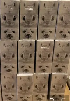 Item thumbnail for item 2c650acd-f044-410d-868d-17d7449bd59f