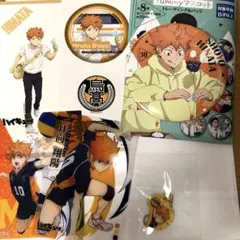ハイキュー!! 烏野高校 日向翔陽 セット