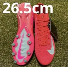 NIKE Vapor 17 Elite AG-Pro T 26cm早い者勝ち - メルカリ