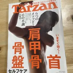 tarzan 肩甲骨