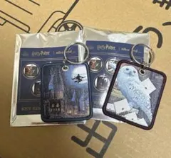 Item thumbnail for item ad3c6a7c-70bf-46c0-a057-9ae1494b868a