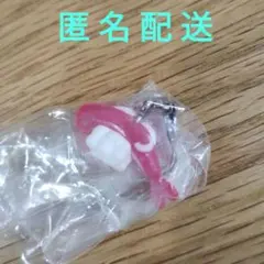 ポケモンめじるしアクセサリー2 シャリタツ