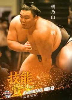 大相撲　朝乃山関　反物　一反　新品未使用 大相撲 大関朝乃山 反物 高砂部屋 名古屋場所復帰