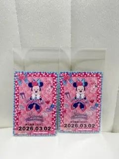 ミニー リゾートライン リゾラ フリーきっぷ