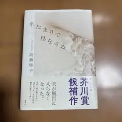 Item thumbnail for item 54993924-2f21-4b2d-9e95-4308285e80e5