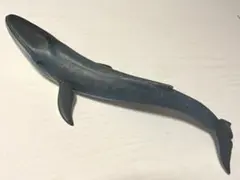 Item thumbnail for item 8d3b0263-1089-4bc6-a2ca-0bb82f2a7e79