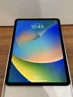 iPadPro11インチ第3世代WiFi+Cellular 512GB