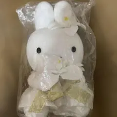 Item thumbnail for item 6cfe4966-590e-4528-b4e0-0694cb5586ec